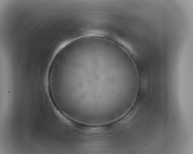 X0000112761471200908201428