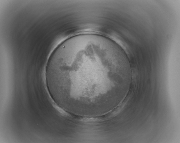 X0000112761474200908201428
