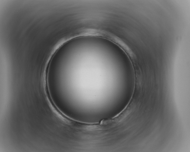 X0000112761479200908201428