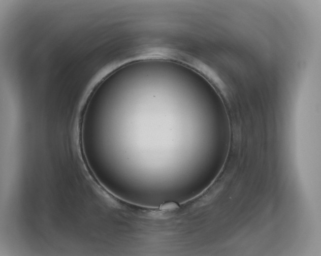 X0000112761480200908201428