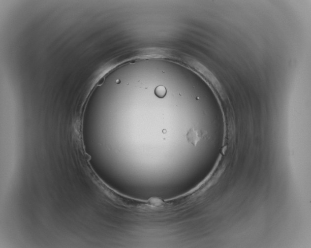 X0000112761481200908201428