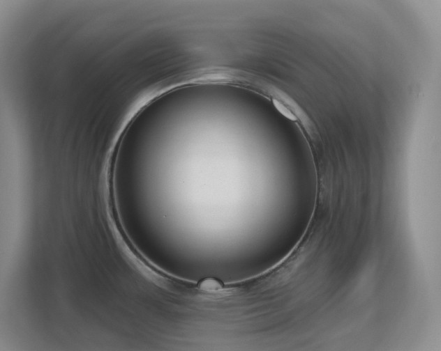X0000112761483200908201428
