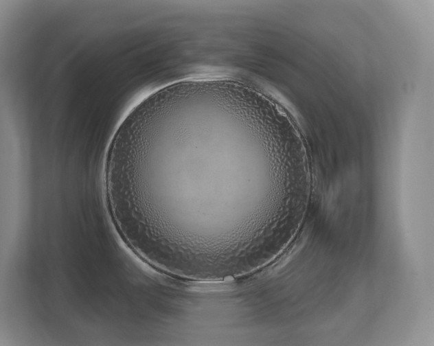 X0000112761487200908201428