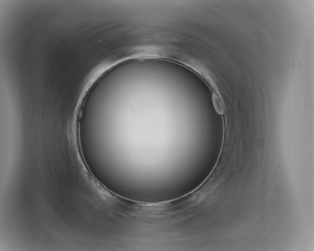 X0000112761488200908201428
