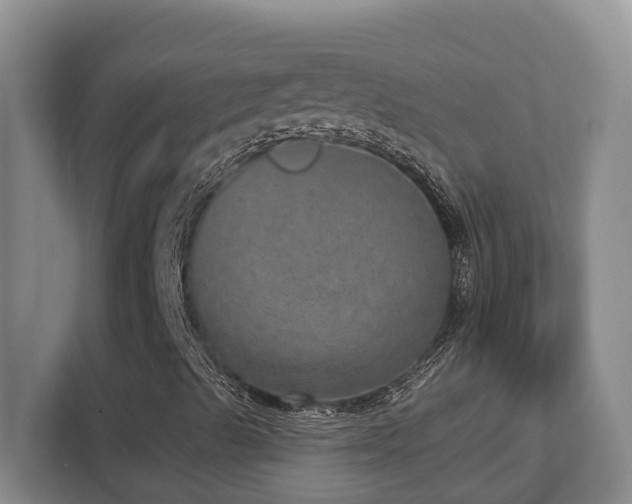 X0000112761489200908201427