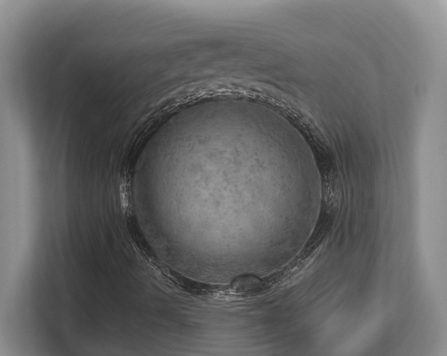 X0000112761490200908201427