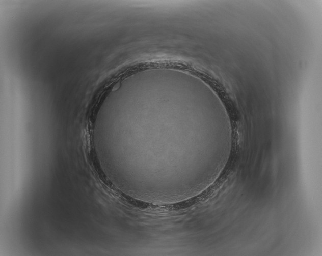 X0000112761493200908201427