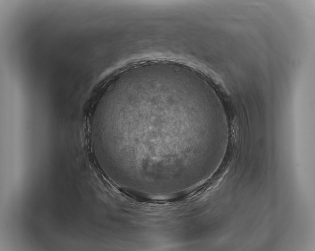 X0000112761494200908201427