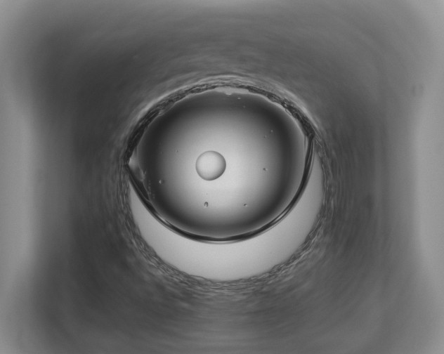 X0000112761496200908201427