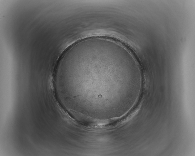X0000112761497200908201427