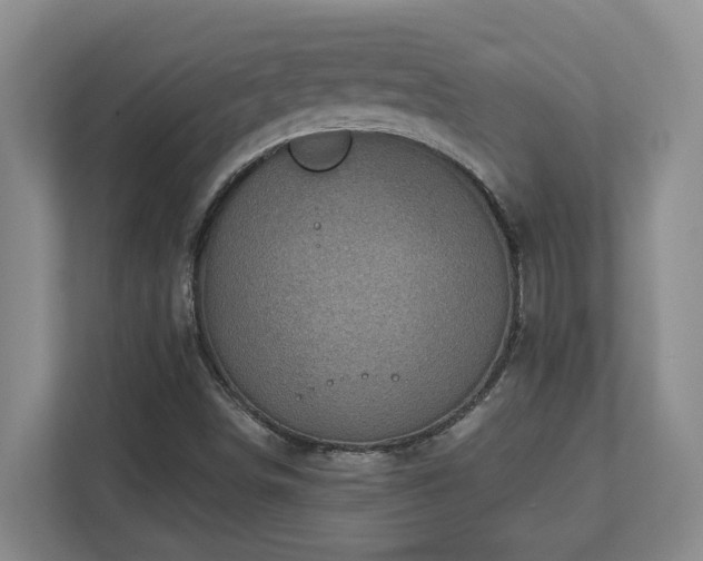 X0000112761498200908201427