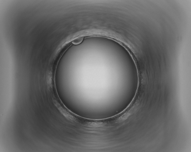 X0000112761499200908201427