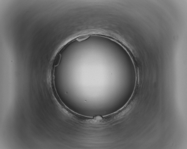 X0000112761500200908201427