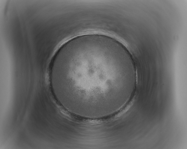 X0000112761501200908201427