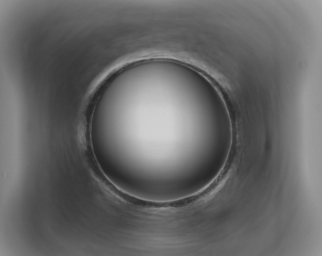 X0000112761502200908201427