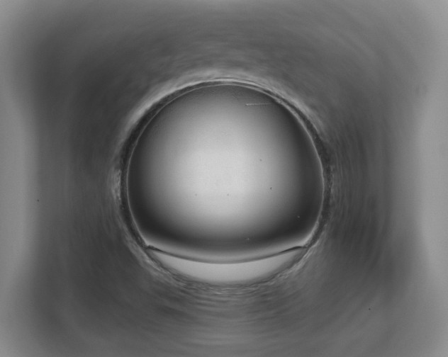 X0000112761503200908201427