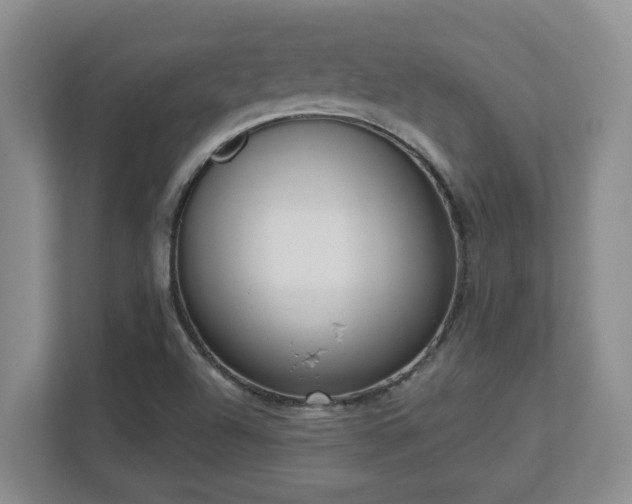 X0000112761504200908201427