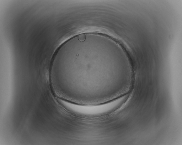 X0000112761505200908201427