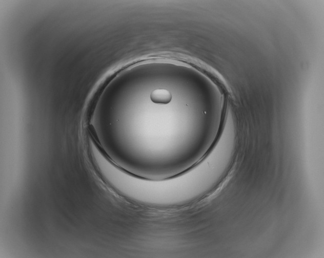 X0000112761506200908201427