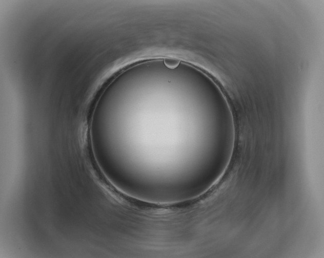 X0000112761507200908201427
