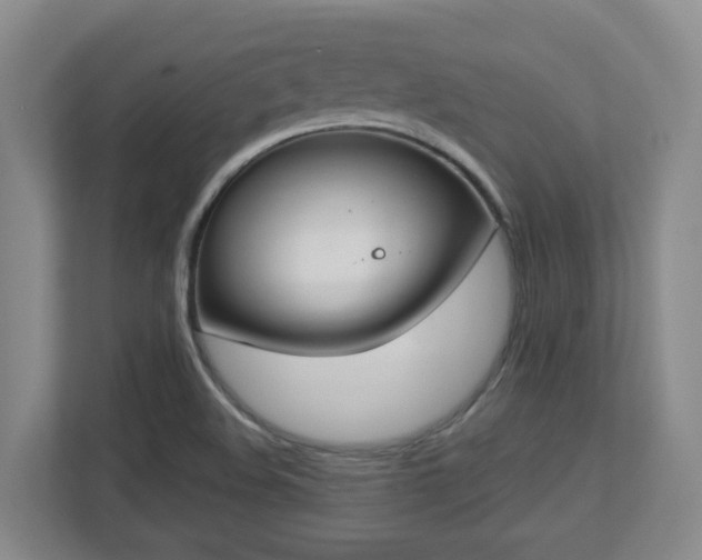 X0000112761508200908201427