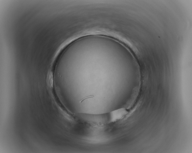 X0000112761509200908201427