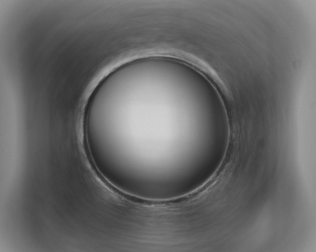 X0000112761512200908201427
