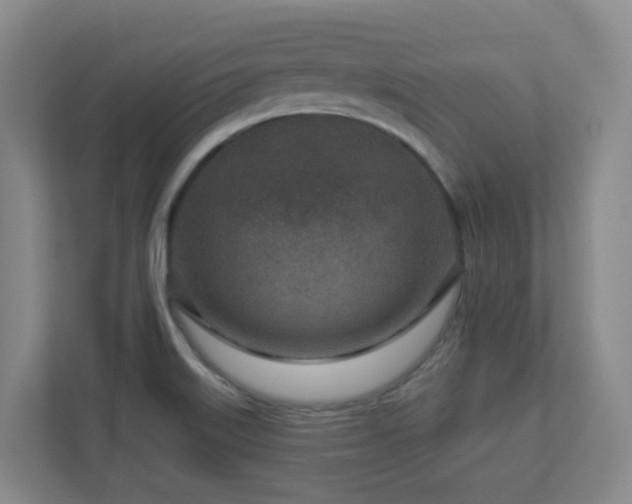 X0000112761515200908201427