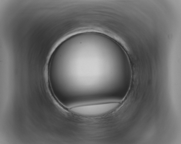 X0000112761516200908201427