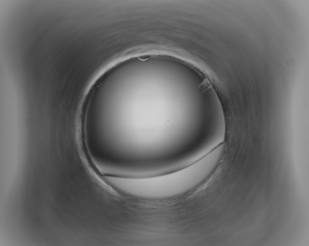 X0000112761518200908201427