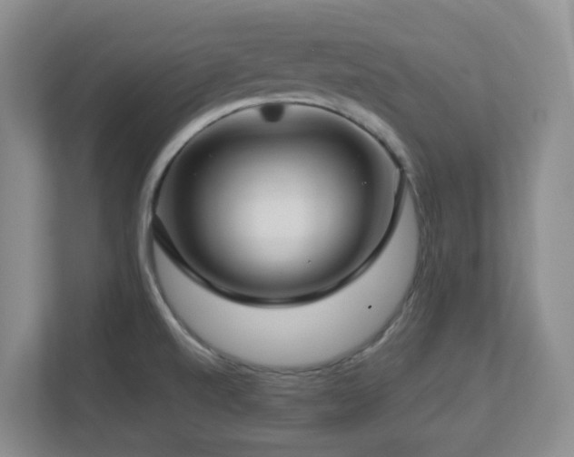 X0000112761520200908201428