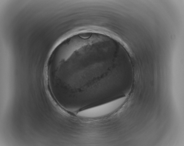 X0000112761522200908201428