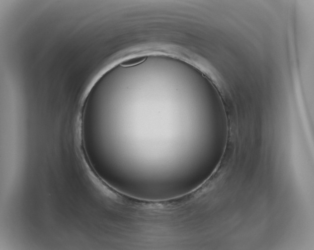 X0000112761524200908201428