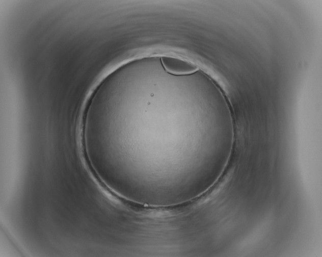 X0000112761525200908201428