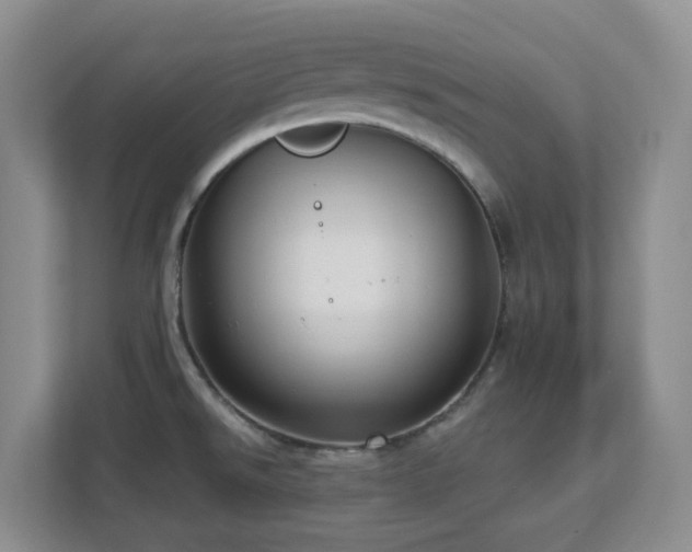 X0000112761526200908201428