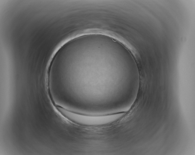 X0000112761527200908201428