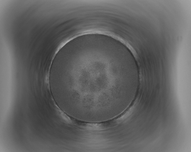 X0000112761529200908201428