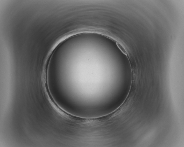 X0000112761531200908201428