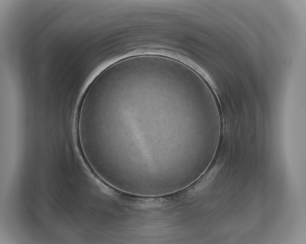 X0000112761533200908201428