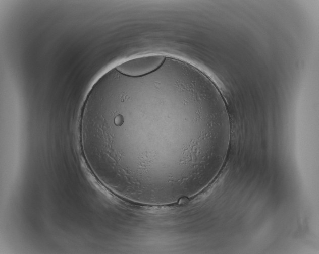 X0000112761534200908201428