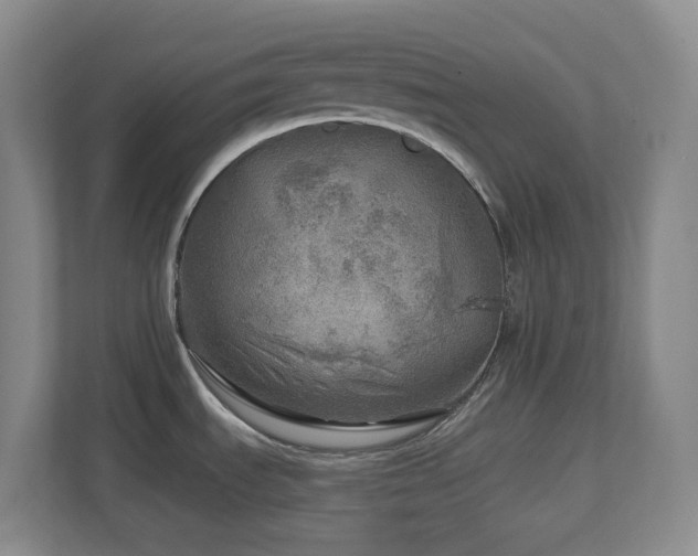 X0000112761535200908201428