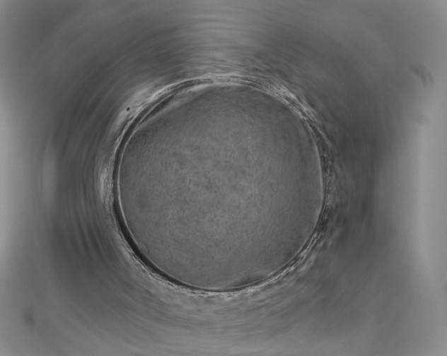 X0000112760002200908271630