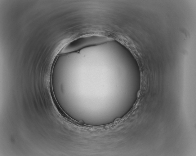 X0000112760003200908271630