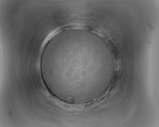 X0000112760004200908271630