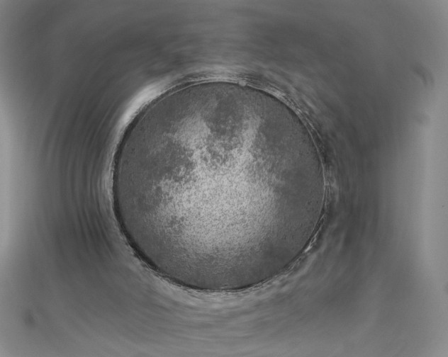 X0000112760006200908271630
