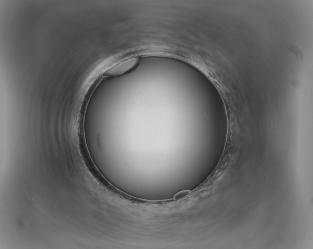 X0000112760007200908271630