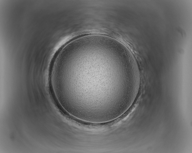 X0000112760008200908271630