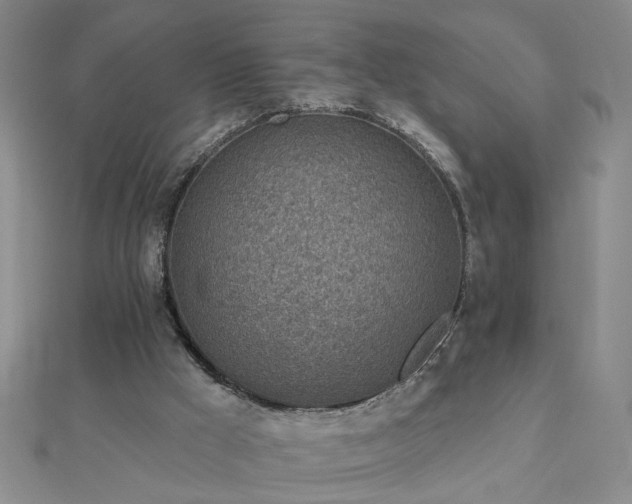 X0000112760009200908271630