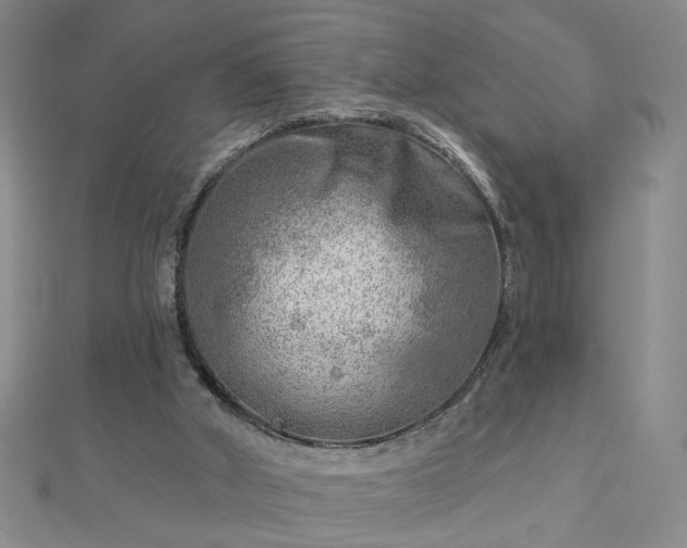X0000112760010200908271630