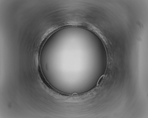 X0000112760011200908271630